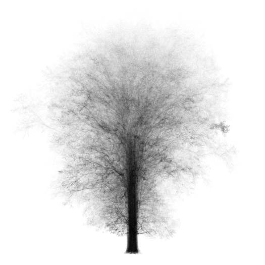 A compilation of 43 trees to form the ghost of One Tree