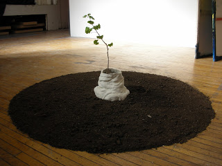 the-hibaku-tree-the-sound-of-music