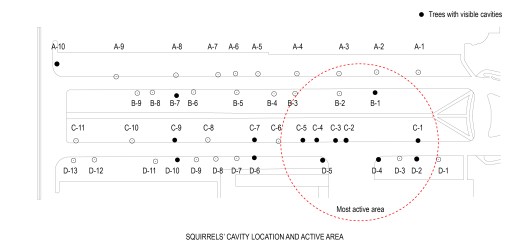 Cavity Activity Map